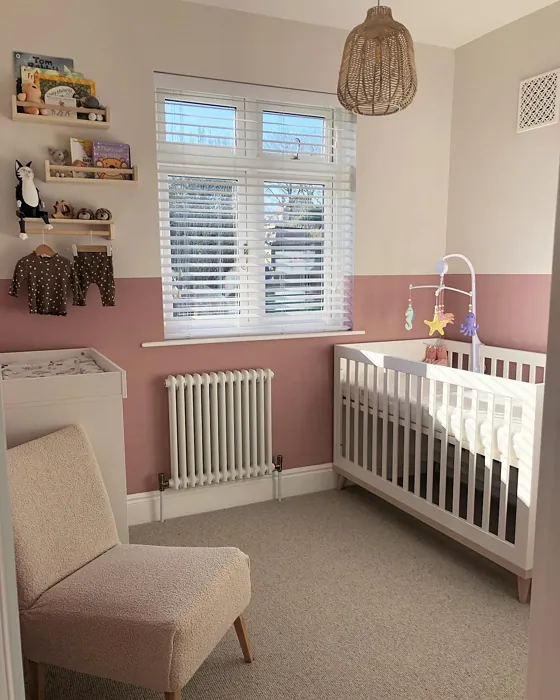 Dulux Pressed Petal nursery color-block