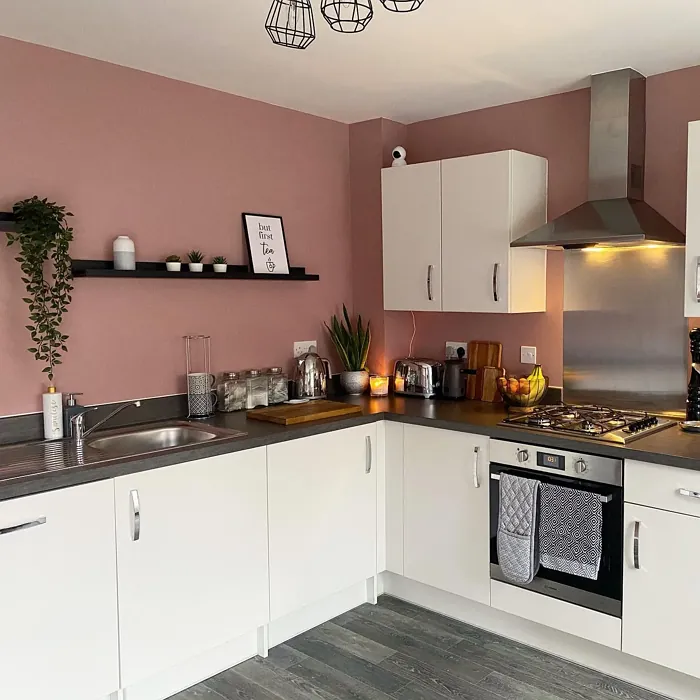 Dulux Pressed Petal kitchen paint review