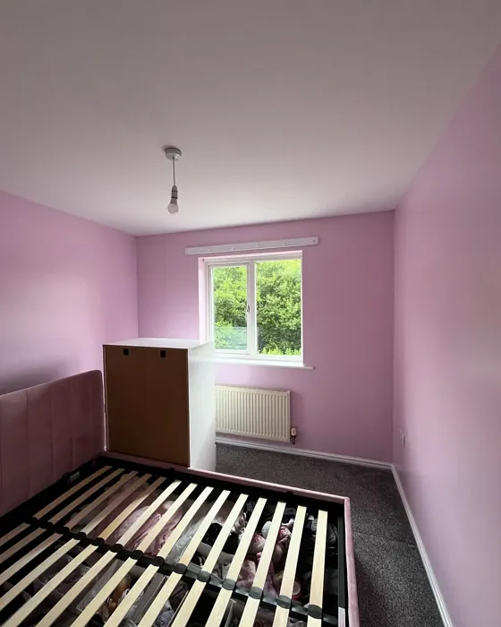 Dulux Pretty Pink bedroom color