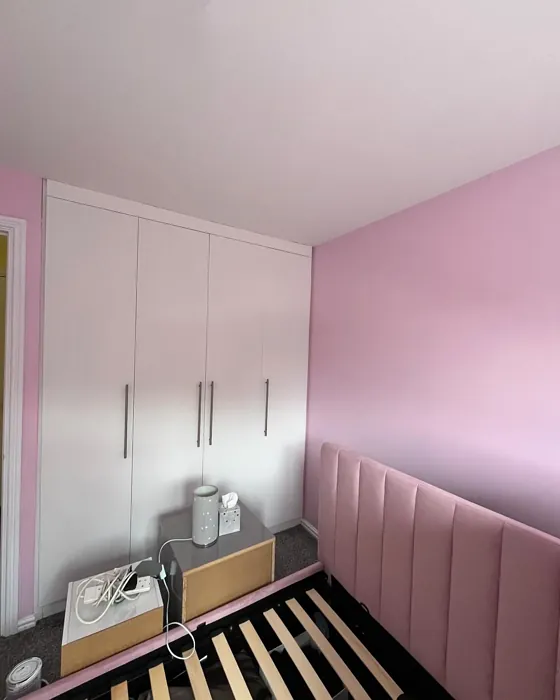 Dulux Pretty Pink bedroom color review