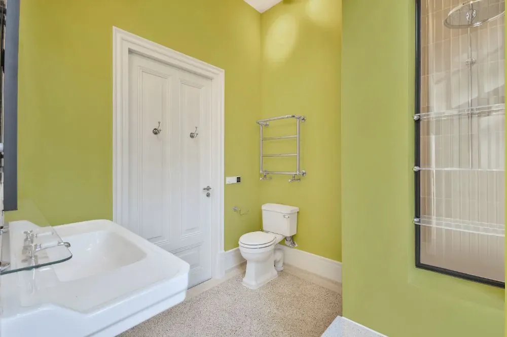 Sherwin Williams Primavera bathroom