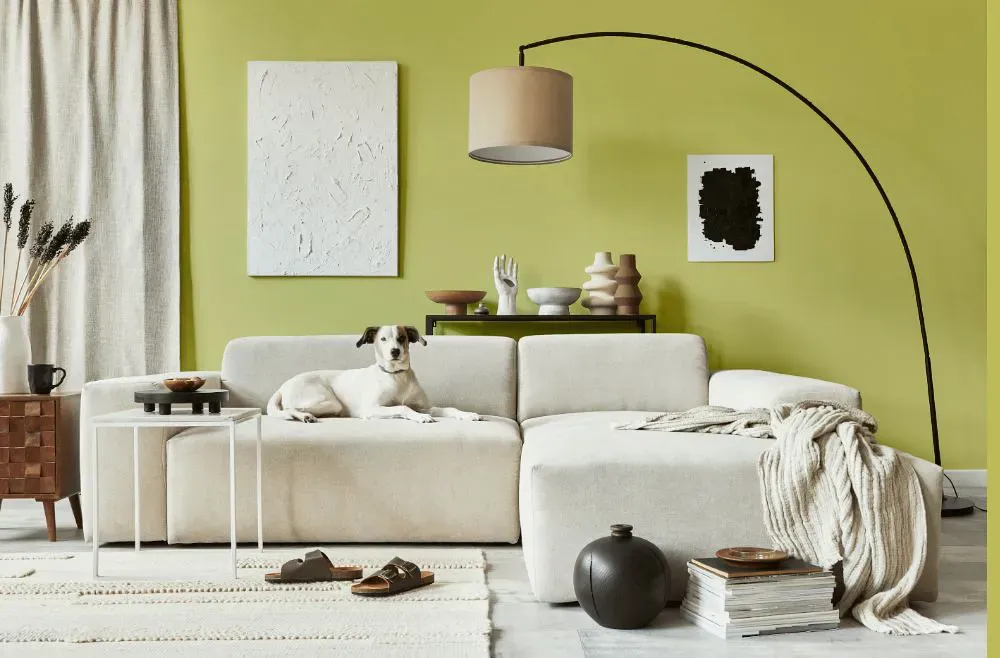 Sherwin Williams Primavera cozy living room