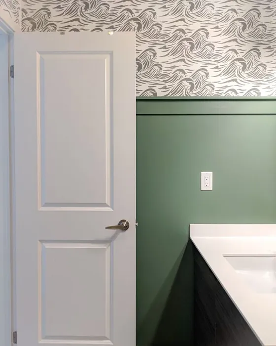 Sw Privilege Green Bathroom