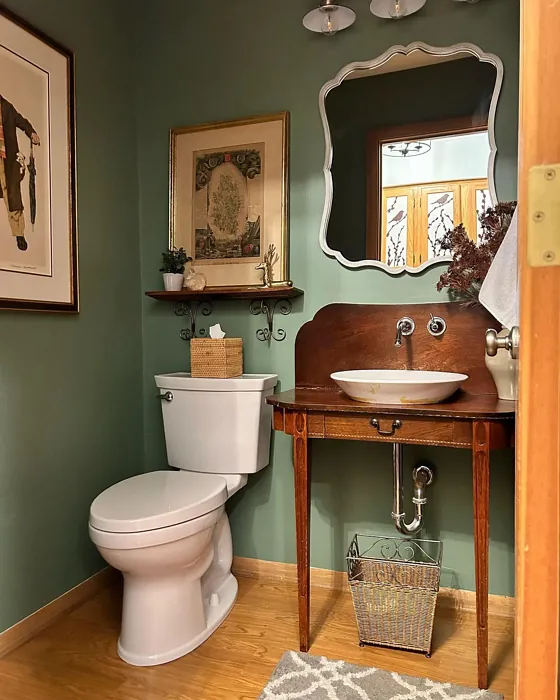 SW 6193 bathroom color