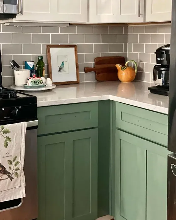 Privilege Green Kitchen Cabinets