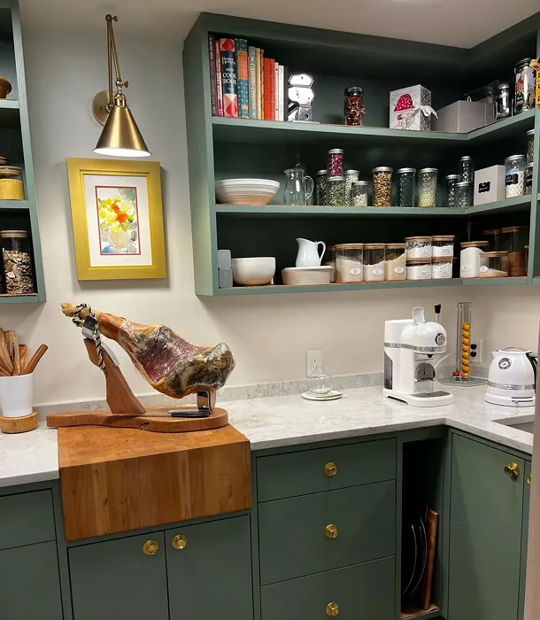 SW 6193 kitchen cabinets color review