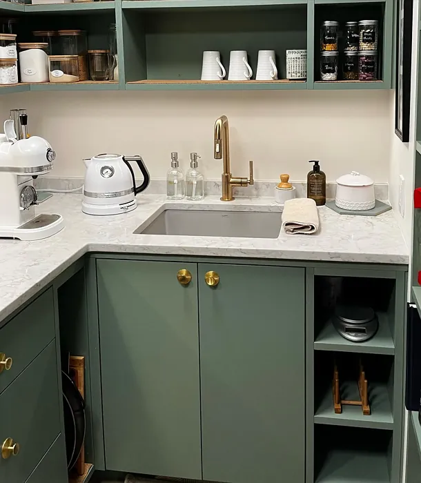 SW Privilege Green kitchen cabinets 