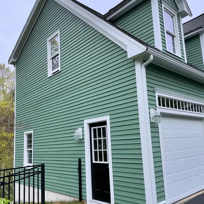 SW Privilege Green exterior review