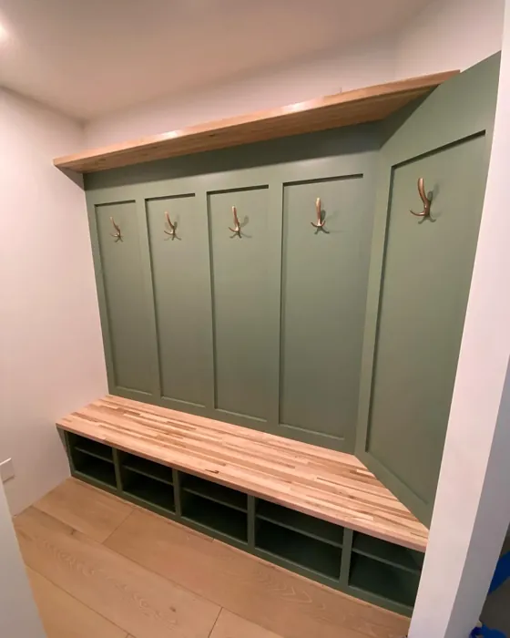 SW Privilege Green painted furniture color