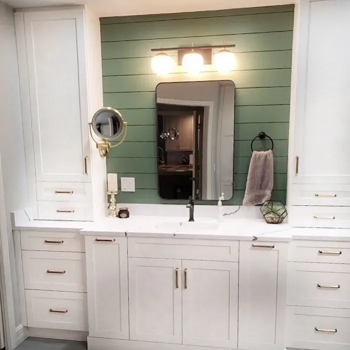 Privilege Green bathroom color