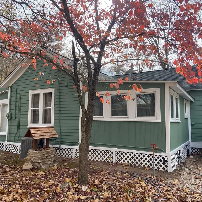 Privilege Green house exterior color review