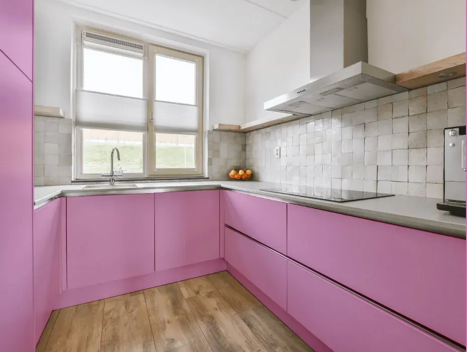 Sherwin Williams Prominent Pink small kitchen cabinets