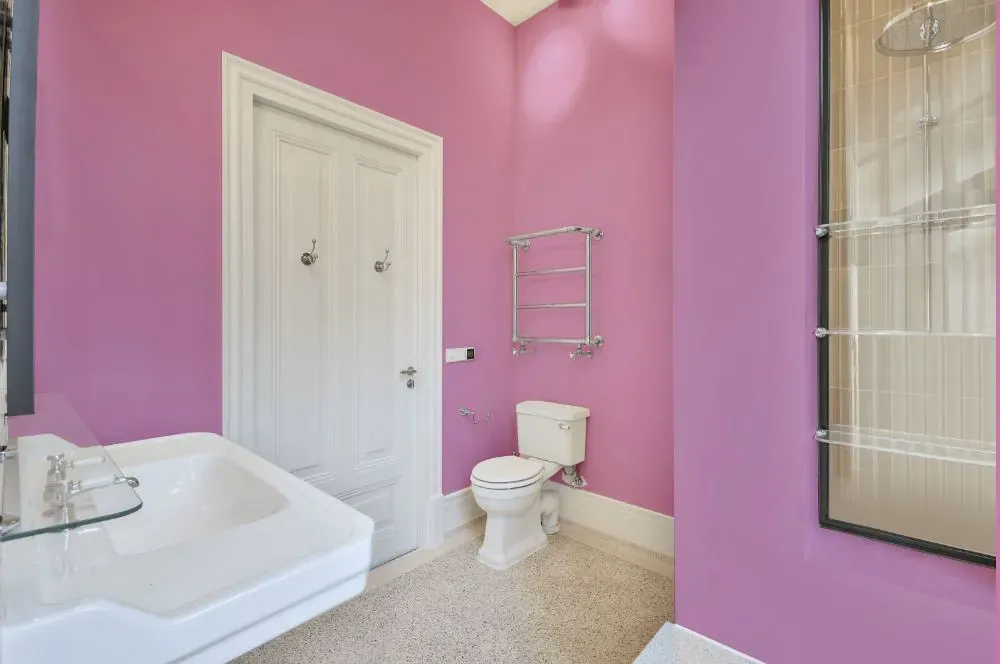 Sherwin Williams Prominent Pink bathroom