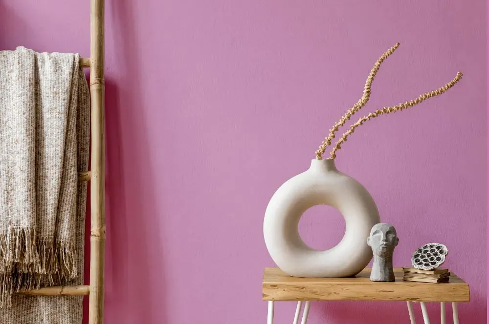 Sherwin Williams Prominent Pink wall