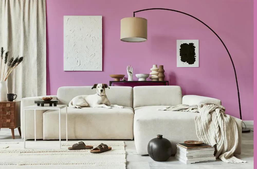 Sherwin Williams Prominent Pink cozy living room