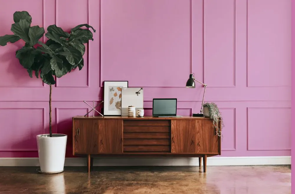 Sherwin Williams Prominent Pink modern interior