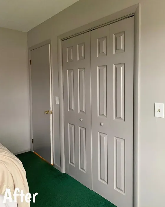 Sw Proper Gray Door