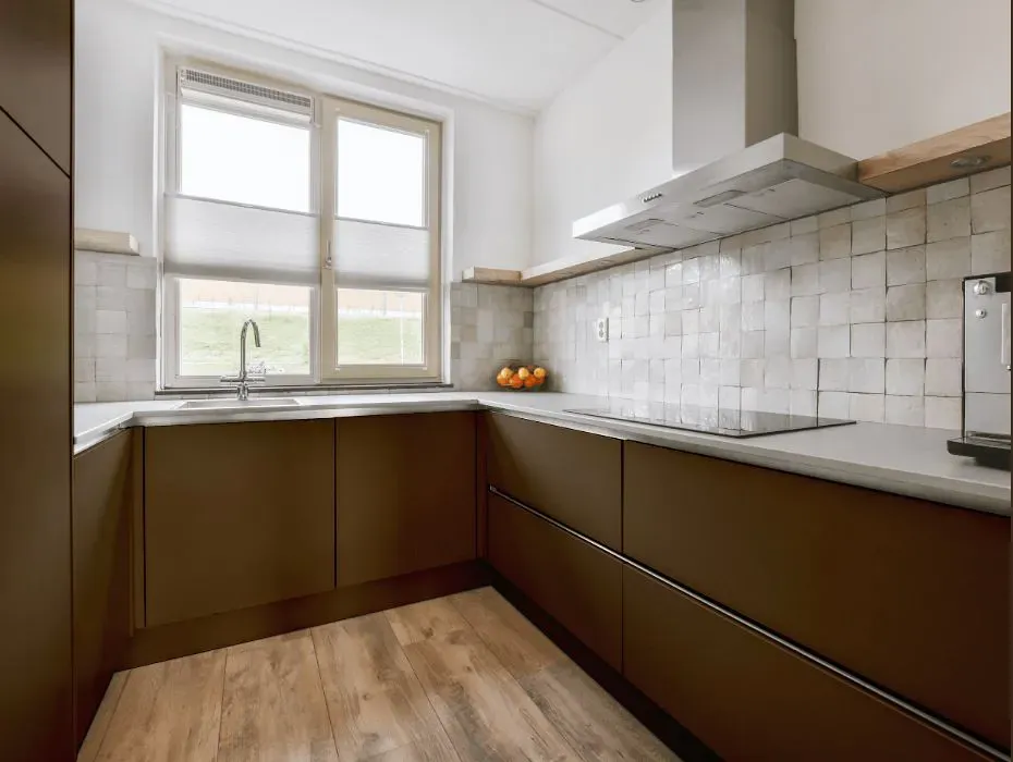 Sherwin Williams Protégé Bronze small kitchen cabinets