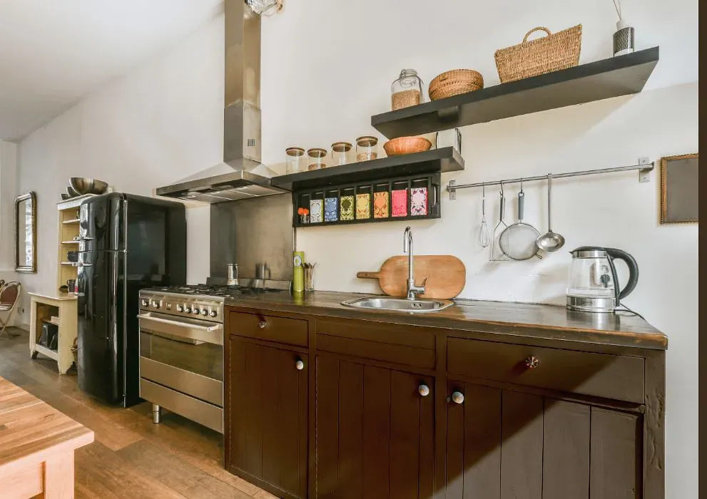 Sherwin Williams Protégé Bronze kitchen cabinets