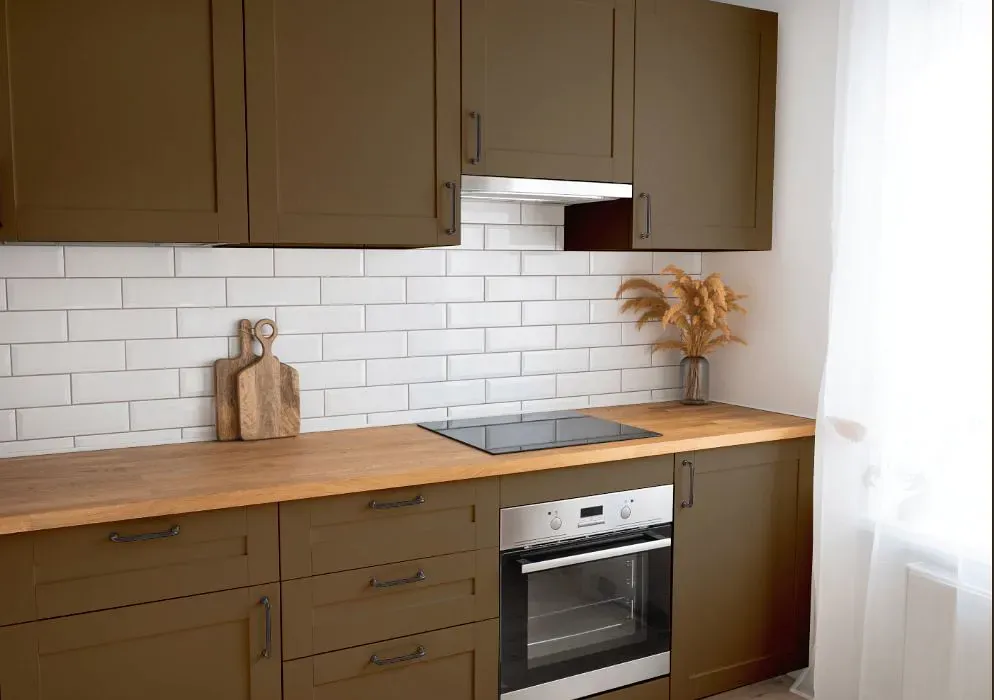 Sherwin Williams Protégé Bronze kitchen cabinets