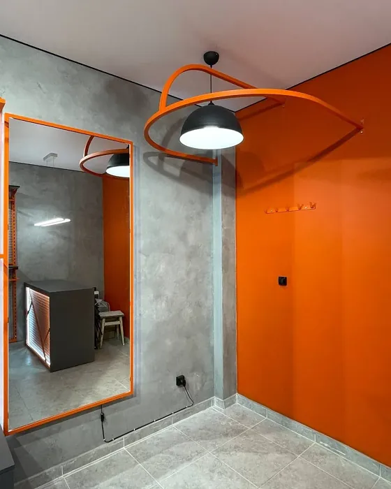 RAL 2004 accent wall 