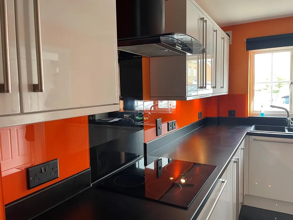 RAL 2004 kitchen backsplash