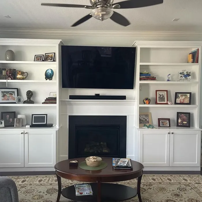 Sherwin Williams SW 7005 living room fireplace color review