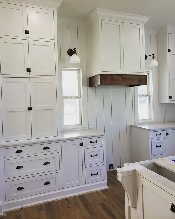 Sherwin Williams Pure White kitchen cabinets interior idea