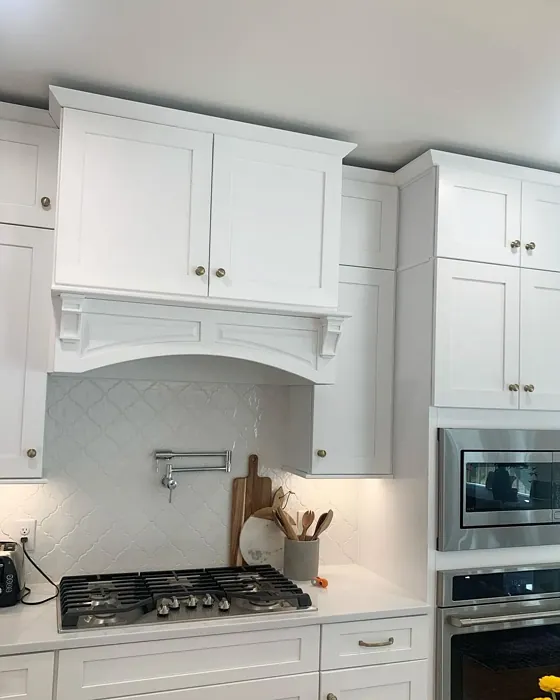 Sherwin Williams Pure White kitchen cabinets color