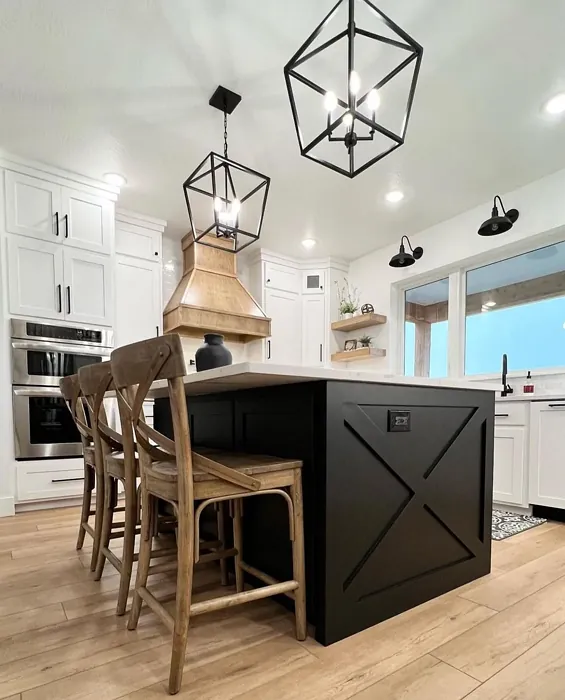 SW 7005 kitchen cabinets inspiration