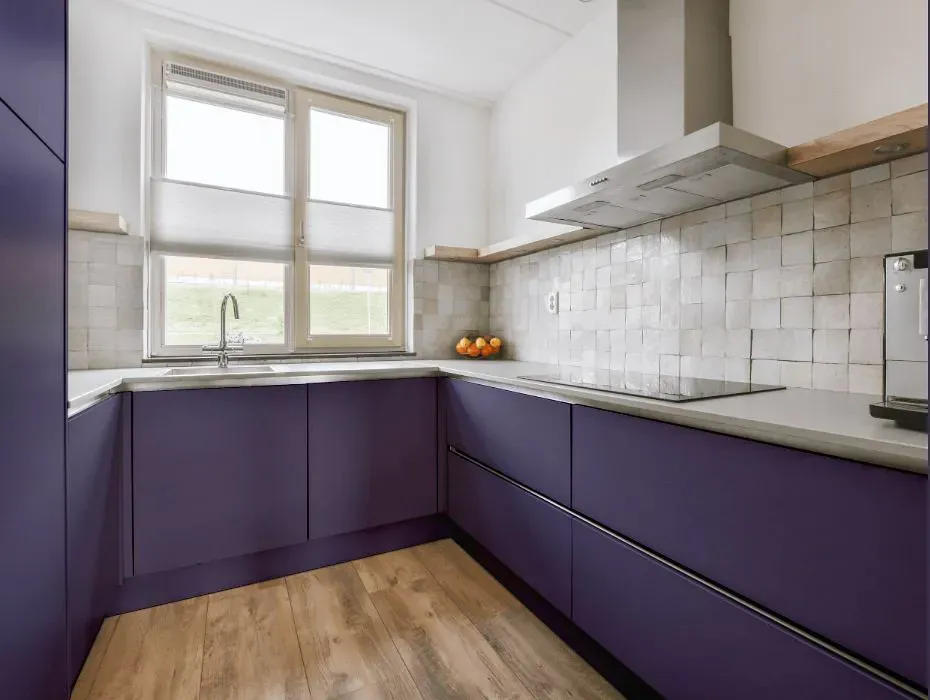 Sherwin Williams Purple Passage small kitchen cabinets