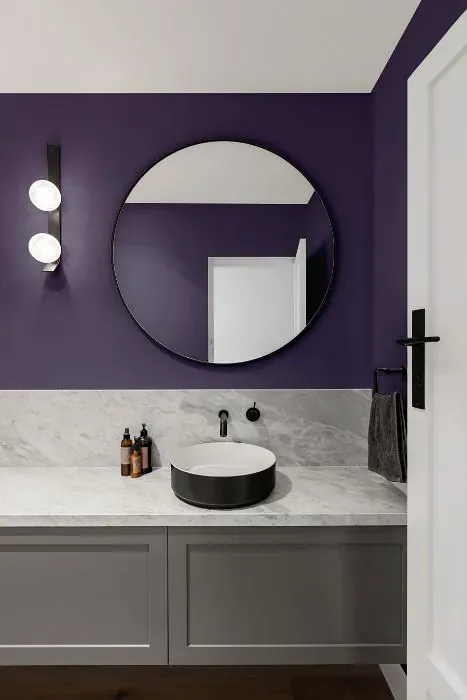 Sherwin Williams Purple Passage minimalist bathroom