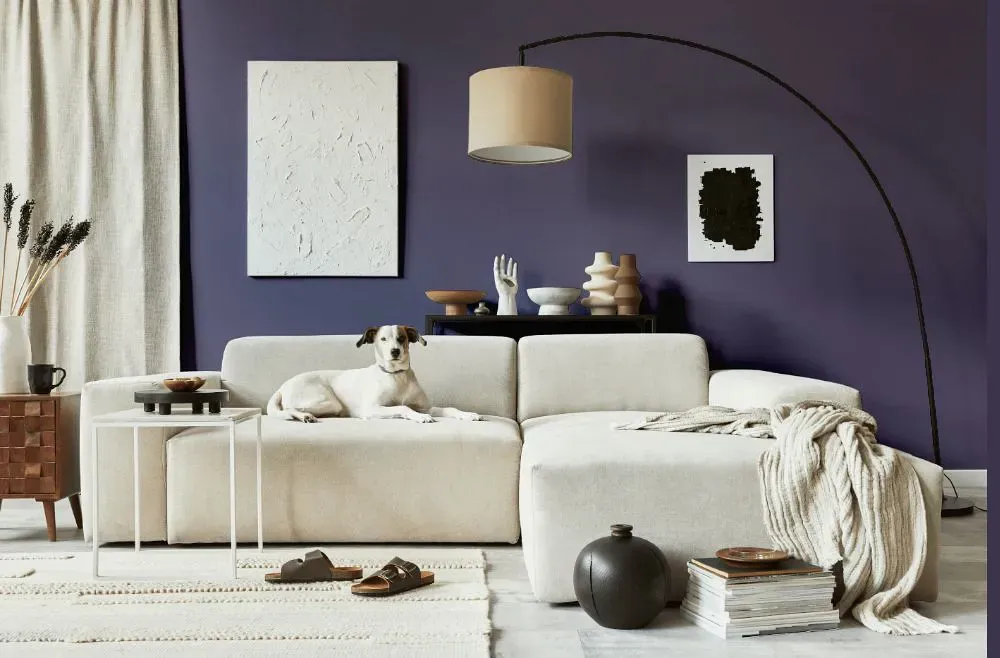 Sherwin Williams Purple Passage cozy living room