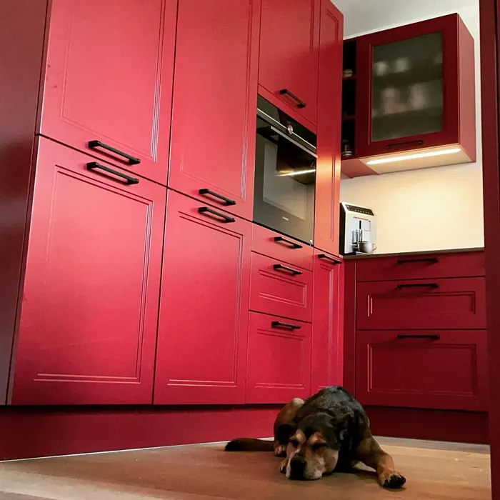 RAL Classic  Purple red RAL 3004 kitchen cabinets