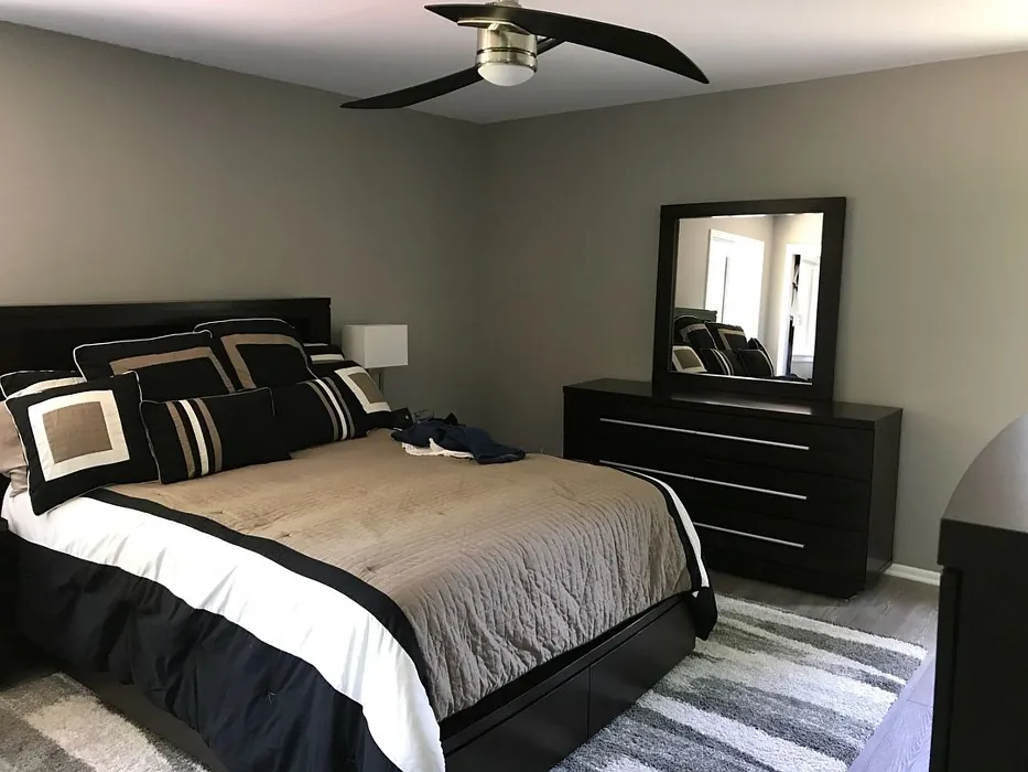 Sherwin Williams Pussywillow Bedroom