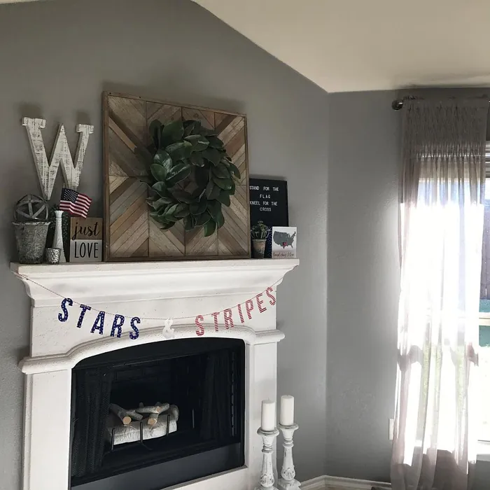Sherwin Williams Pussywillow Living Room
