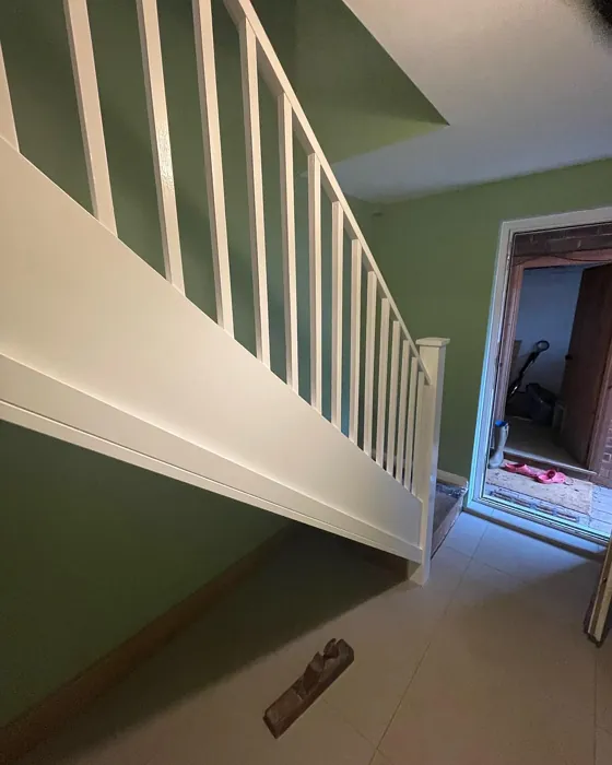 Dulux Putting Green hallway color review