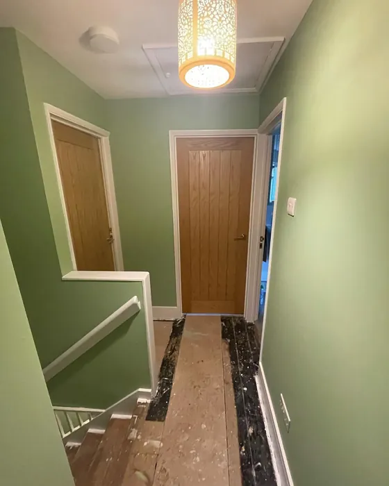 Dulux Putting Green hallway paint