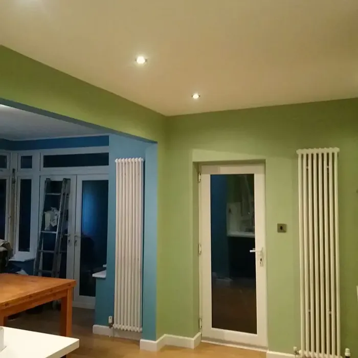 Dulux Putting Green kitchen color