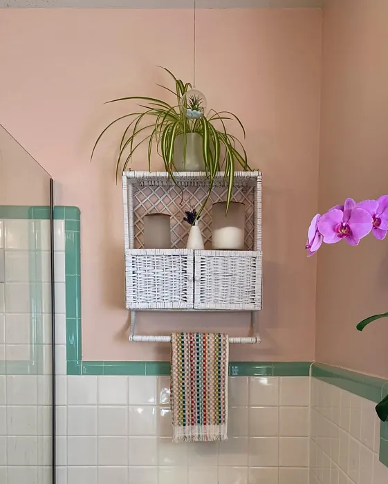 Sw Quaint Peche Bathroom