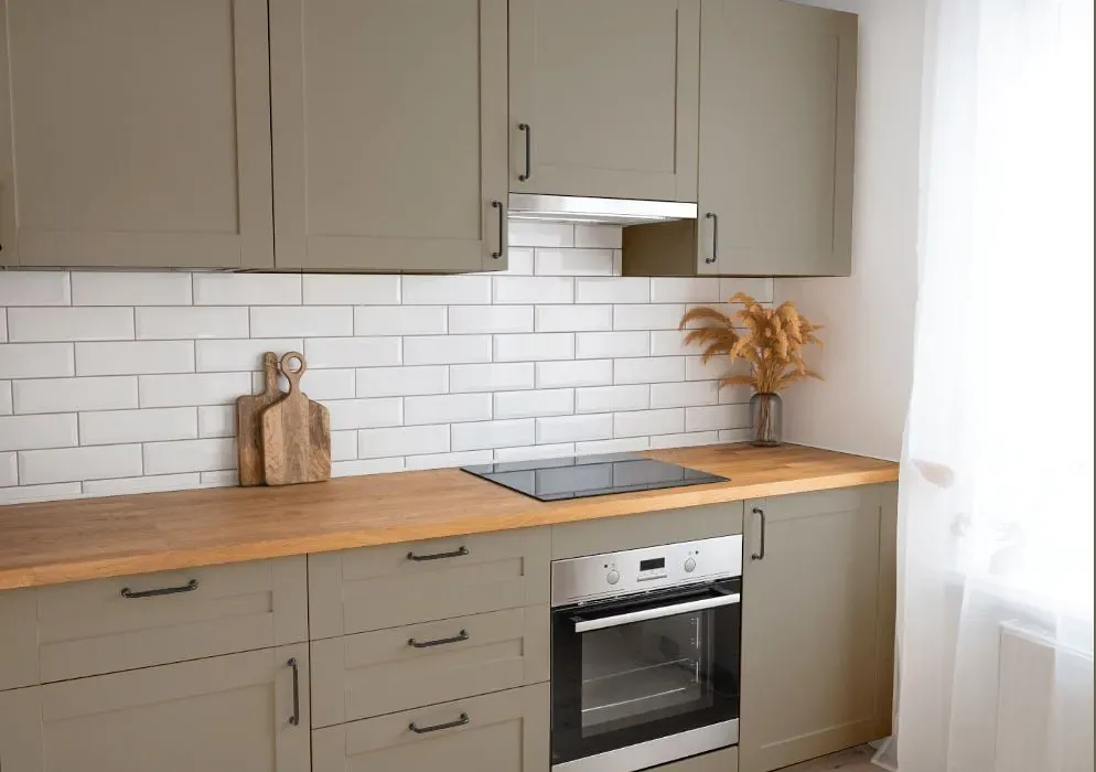 Sherwin Williams Quarry Stone kitchen cabinets