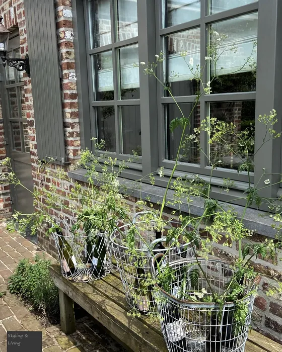 RAL 7039 window paint review