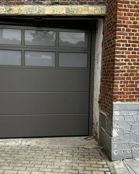 RAL 7039 garage door color