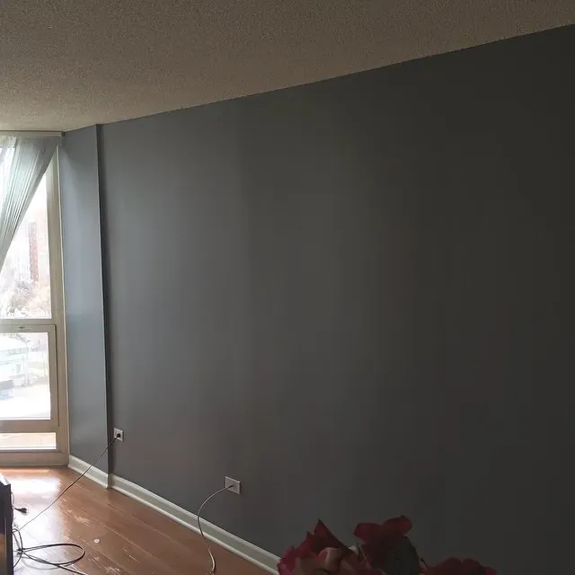 SW Quest Gray accent wall color