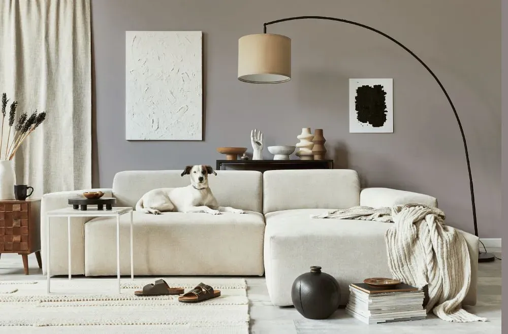 Sherwin Williams Quest Gray cozy living room