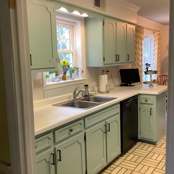 SW Quietude kitchen cabinets color