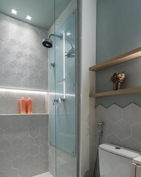 SW Quietude bathroom color