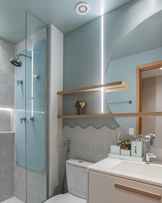 SW Quietude bathroom color review