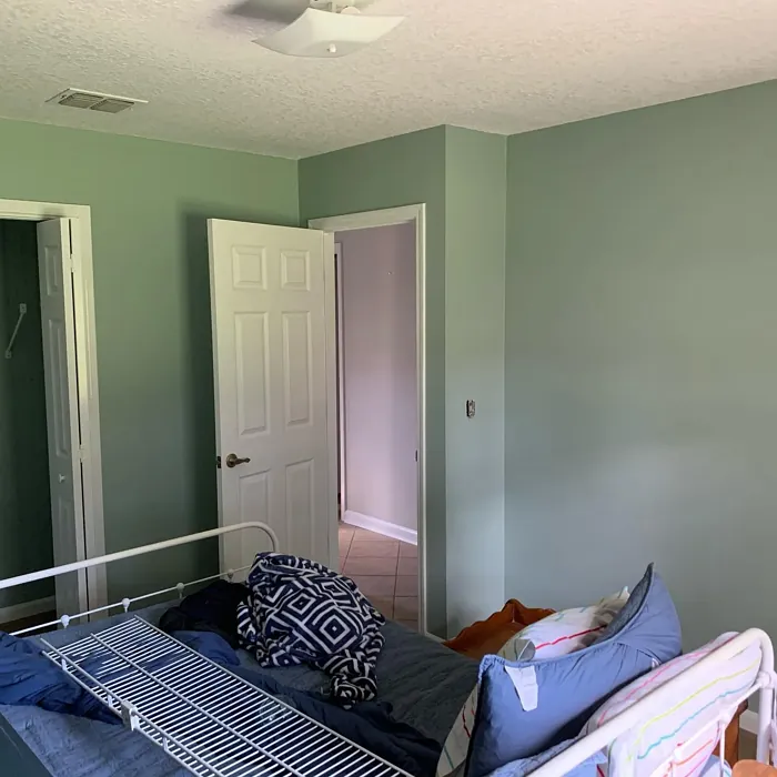 Sherwin Williams Quietude bedroom 