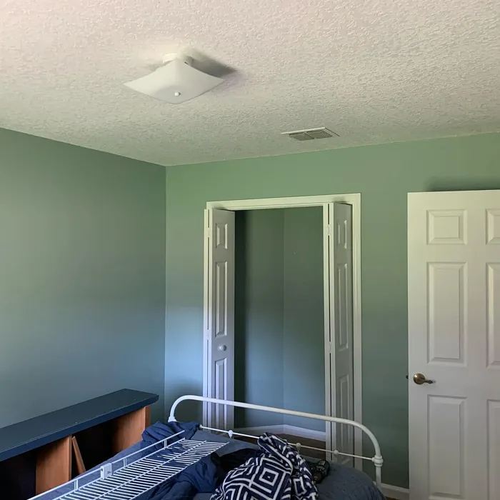 Sherwin Williams Quietude bedroom interior
